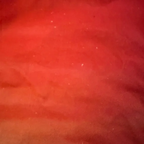 Esteban Cortazar Collective Ombre Skirt Size 8